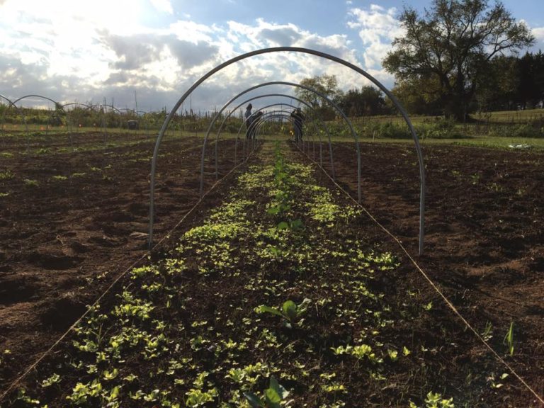 HABG Community Garden